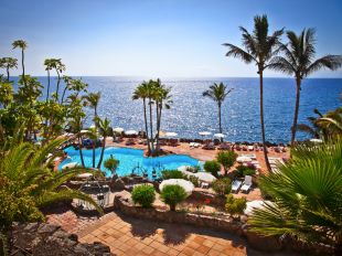 teneryfa_palmy_glowne